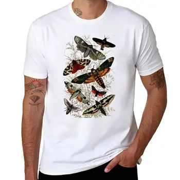 Футболка с изображением викторианской моли и насекомых, забавные футболки, футболки больших размеров, черные футболки, блузка, одежда для мужчин 3