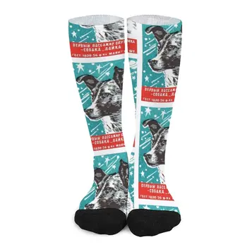 Лайка 1950-х, космическая собака, русские носки в спичечных коробках, женские носки, эстетичные женские носки 4