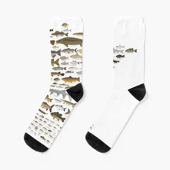 Носки с рыбками из Миннесоты милые носки незаменимые мужские носки подарок на день Святого Валентина для парня 5